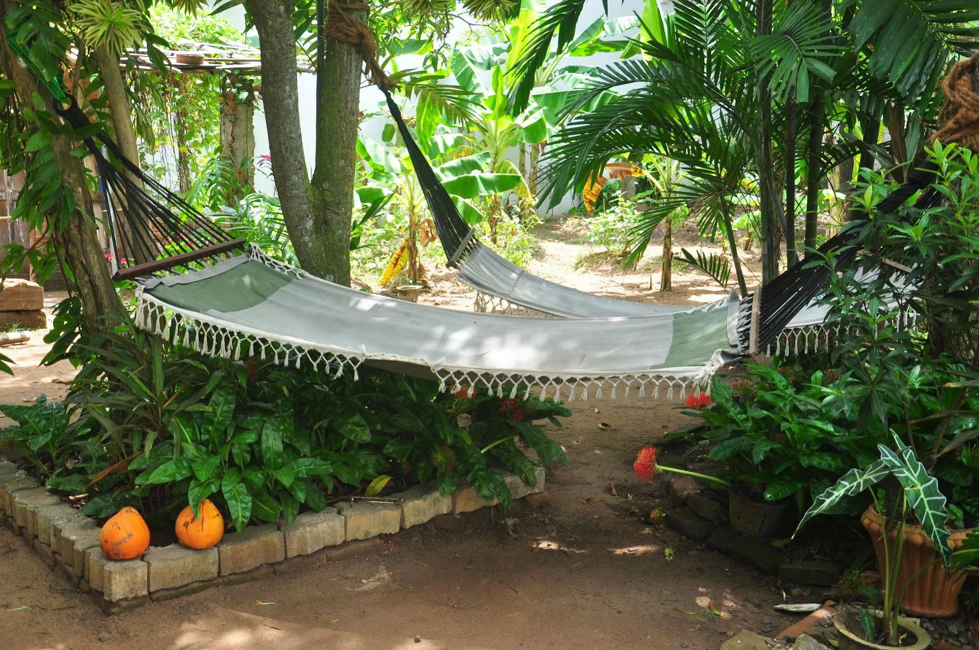 Blue Seas Guest House Dehiwala-Mount Lavinia Exteriér fotografie